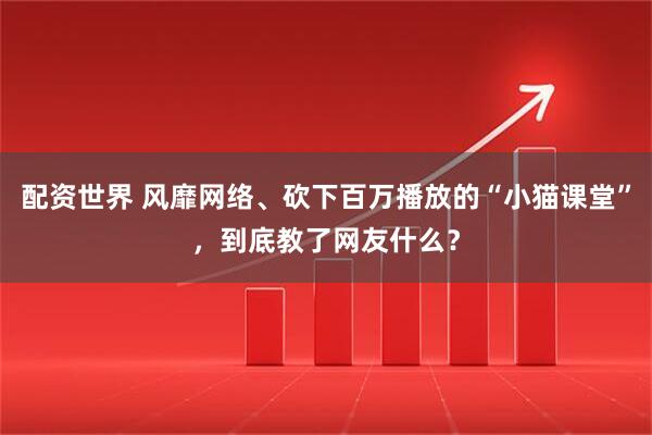 配资世界 风靡网络、砍下百万播放的“小猫课堂”，到底教了网友什么？
